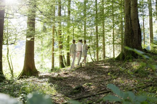 paxnatura Naturbestattung - Baumbestattung Der Besuch der Natur- & Waldfriedhoefe spendet Kraft und Trost.